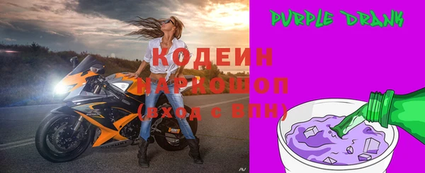 стафф Ельня