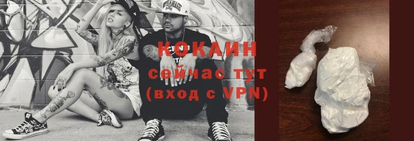 молекула духа Елизово