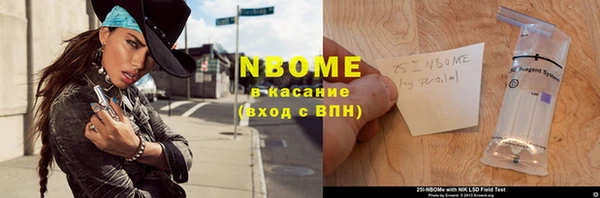 стафф Ельня
