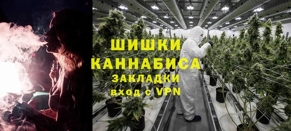молекула духа Елизово