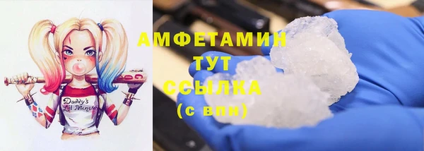 стафф Ельня
