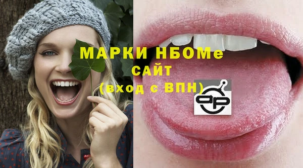 стафф Ельня