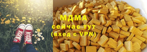 молекула духа Елизово