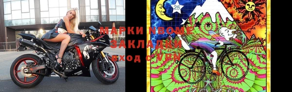 крисы Елабуга