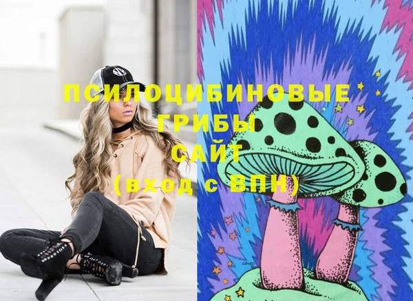 стафф Ельня