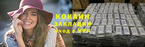 стафф Ельня