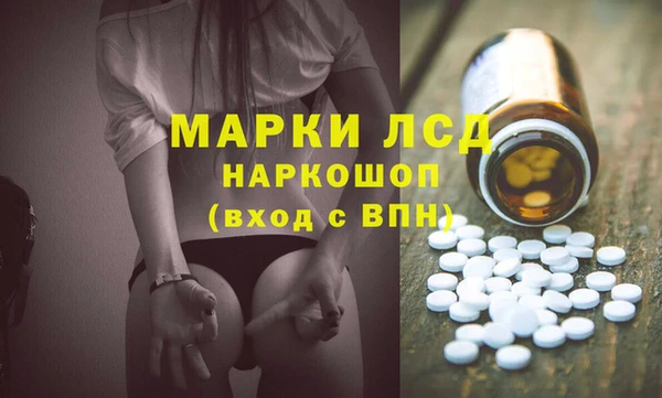 молекула духа Елизово