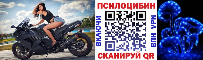 Купить где  Мелеуз  Псилоцибиновые грибы мицелий 